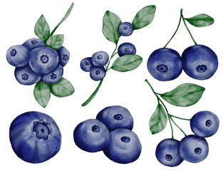 watercolor illustration of ripe blueberries. Hand-painted with soft purple and blue hues, this artwork captures the freshness and sweetness of the forest berry. 