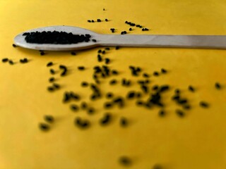 A wooden spoon holds small black seeds, likely, tea grains, coffee grains, black cumin, on a bright yellow background. Scattered seeds create a messy contrast, with a soft, dreamy focus.