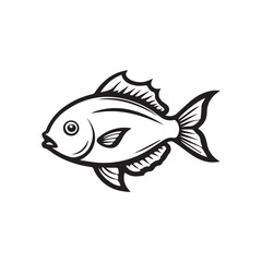 fish on a white background