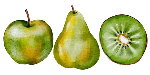 Green fruits watercolor, apple, pear, kiwi, hand drawn png clipart illustration