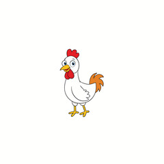 chicken bird on white background
