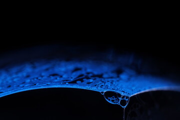 Blue liquid texture in macro, bright fluid background, smooth movement, molecular structure