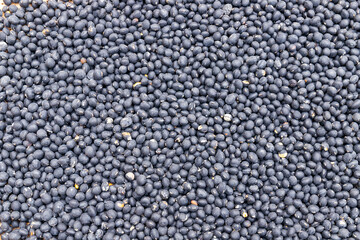 Black bean pellets for crops