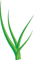 green grass vector