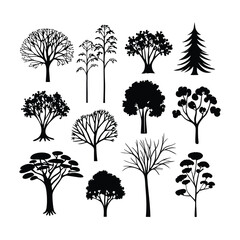 “Tree Silhouettes: Nature’s Shadows in Minimalist Beauty”