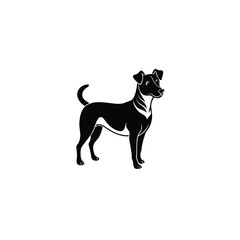 jack russell terrier silhouette on white background