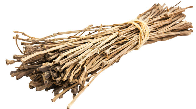 Dried Vetiver Roots on Transparent Background - Natural and Textured Plant Material Photography