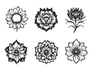 Starflower line art glowing petals under moonlight embrace quiet beauty