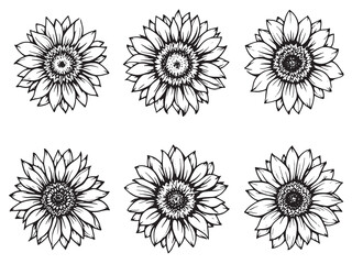 Sunflower line art beauty in nature through minimalistic illustration style