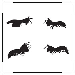Mantis Shrimp silhouette, Mantis Shrimp illustration , Mantis Shrimp clipart, Mantis Shrimp vector ,Mantis Shrimp icon , black Mantis Shrimp , Mantis Shrimp illustration on white background, 