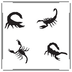 Scorpion silhouette, Scorpion illustration , Scorpion clipart, Scorpion vector ,Scorpion icon , black Scorpion, Scorpion illustration on white background, Scorpion vector illustration ,