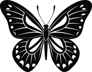 butterfly  silhouette on white background.