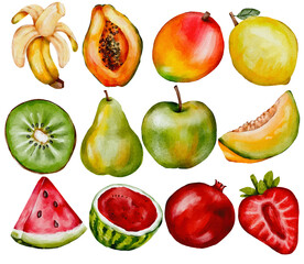 Tropical fruits watercolor illustration, banana, mango, strawberry, cherry, berries, apple