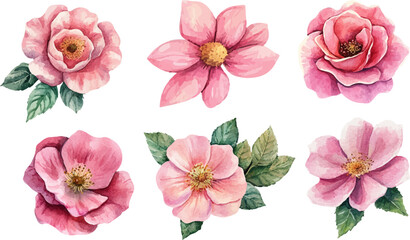 Botanical Watercolor Pink Rose – Romantic Wedding Element