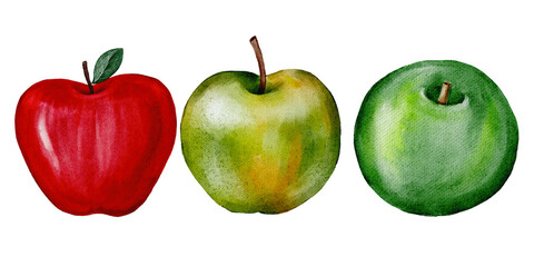 Apples watercolor illustration, green apple, red apple, set of apples