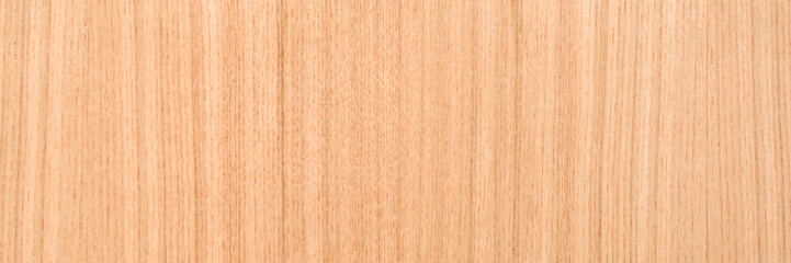 Naklejka premium Light ash veneer wooden surface background. Closeup. Wide banner. Empty place for text. Top down view.