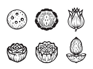 Lotus Root line art botanical sketch black white simple design 