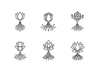 Lotus Root line art minimalist outline natural beauty hand drawn 