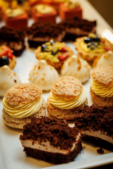 A white plate filled with a variety of desserts such as brownies, cookies, and cakes