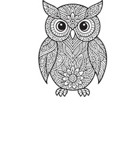 Folk Art Mandala Style – vector, illustration