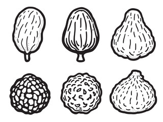 Luffa line art healthy food outline minimal clean ink drawing (1)