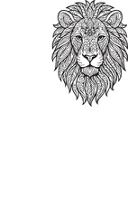 Obraz premium Monochrome Mandala Art – vector, illustration