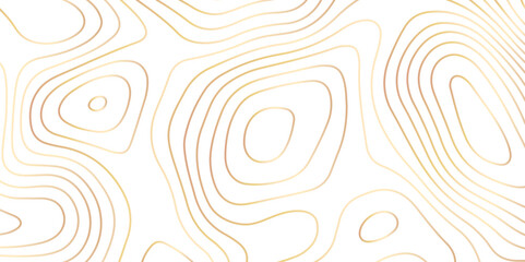 Abstract topographic map contour, white background and colorful wave lines pattern texture. geographic contour map grid backdrop paper texture. terrain path isolated on a background.