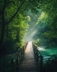 Obraz premium Forest Bridge