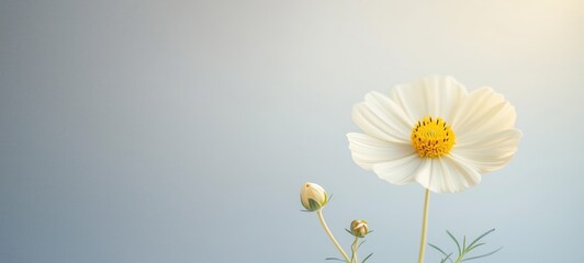 Vibrant spring blooms, soft bokeh background