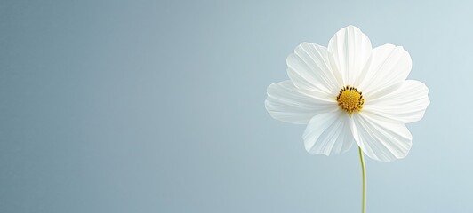 Vibrant spring blooms, soft bokeh background