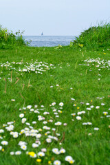 Little blue boat on the water in the daylight through the green meadow. Dutch summer landscape with a field and the sea in the daylight