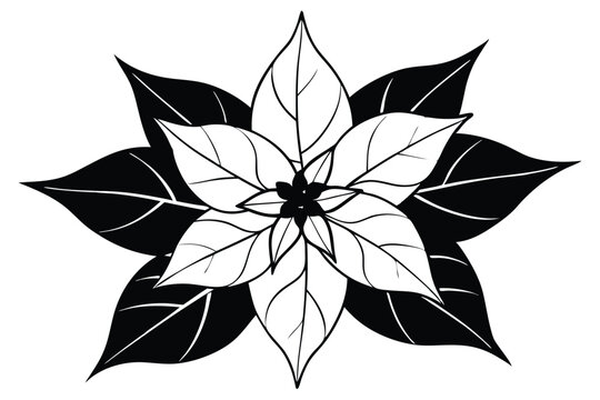 recommend clip art: Black and White Poinsettia Silhouette, Floral Art, Decorative Foliage, Elegant Outline