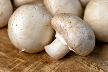 preparation of the harvested mushroom champignons for cooking, side view