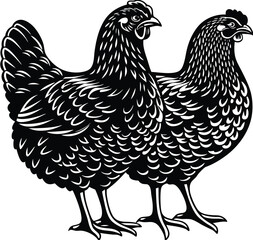 A cartoon vector illustration depicts an isolated black and white silhouette drawing of a hen and rooster, farm poultry animals