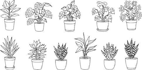 Houseplants. Vector set of outline drawings plants, succulents in pot. Indoor exotic flowers with stems and leaves. Monstera, Ficus, pathos, yucca, dracaena, cacti, snake plant for home and interior