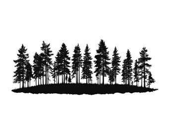 Vector illustration of a silhouette of pine trees isolated on transparent background