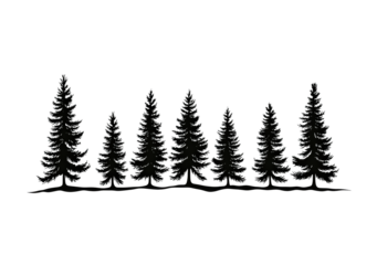 Vector illustration of a silhouette of pine trees isolated on transparent background