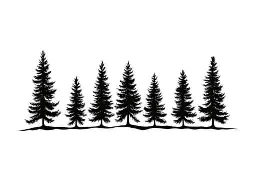 Vector illustration of a silhouette of pine trees isolated on transparent background