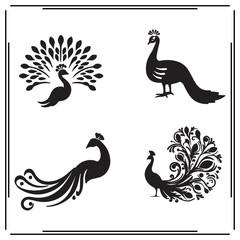 Peacock silhouette,  Peacock illustration ,Peacock clipart, Peacock vector ,Peacock icon , black Peacock, Peacock illustration on white background, Peacock vector illustration ,