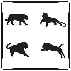 Tiger silhouette, Tiger illustration , Tiger clipart, Tiger vector ,Tiger icon , black Tiger, Tiger illustration on white background, Tiger vector illustration ,