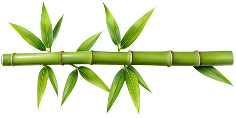 Obraz premium Bamboo stalk with lush green leaves and natural soft shadows in a tranquil setting transparent, bamboo, stalk, leaves, green, natural, shadows, tranquility, botanical, plant, foliage,