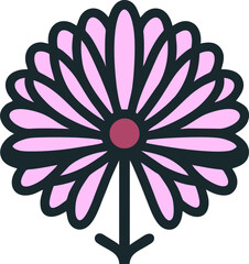 Chrysanthemum illustration. 