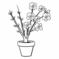 Dianthus Caryophyllus vector art, Dianthus Caryophyllus with top silhouette vector illustration, Dianthus Caryophyllus line art vector, Eps 