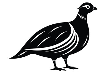 Silhouette of Partridge Bird, Illustration, Black and White Design, Minimalist Style