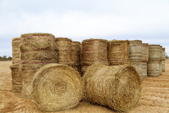 Large hay bales delivered and stacked for drought relief.