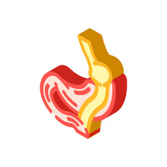 gastric bypass gastroenterologist isometric icon vector illustration