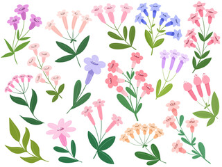 Spring flowers collection, botanical isolates in flat style.