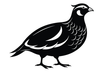 Black Silhouette of a Quail Bird | Ornithology | Nature | Wildlife |