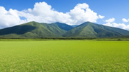 Fototapeta premium Serene Green Rice Paddy Field Against Majestic Mountain Range under a Summer Sky
