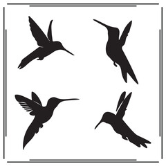 Hummingbird silhouette, Hummingbird illustration , Hummingbird clipart, Hummingbird vector ,Hummingbird icon , black Hummingbird, Hummingbird illustration on white background, 